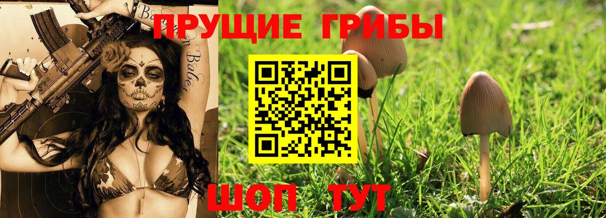 Галлюциногенные грибы мицелий Сухой Лог