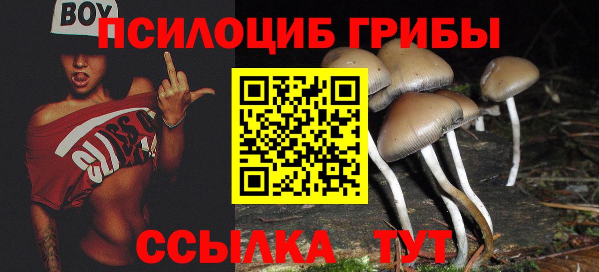Сухой Лог  Галлюциногенные грибы MAGIC MUSHROOMS  Вход с VPN  Псилоцибиновые грибы MAGIC MUSHROOMS 
